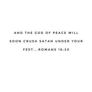 Meet your Posher, Eddy paul